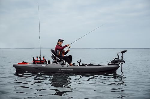 Image of Wilderness Systems Recon 120 - Sit on Top Fishing Kayak - Premium Frame Seat - 12 ft