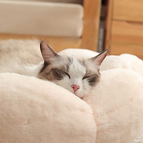 Amazon | iyoimono 猫 ベッド 犬 ベッド ペットベッド ペット