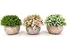 LUKATONI Sztuczne rośliny stołowe, sztuczne kwiaty, zestaw 3 szt. z doniczką