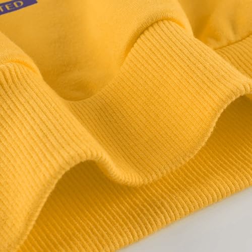 Image of TeeWee Boys and Girls Premium Cotton Sweatshirt |Boys Sweatshirts| Girls Sweatshirts| Printed Sweatshirts Logo|Winter wear|Sweatshirt for Boys|Sweatshirt for Girls
