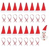 Honosen 30 Stück Mini Weihnachtsmützen und Mini-Schal set, Klein-Weihnachtsmannmütze, Weihnachtsschal, Süße Weinflaschen- und Schneemanndekoration für Weihnachtstische, Partys und Heimdekorationen