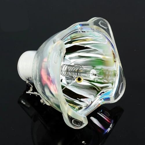 Lampe 5J.J2805.001 haute luminosité compatible SP890 pour vidéoprojecteur de salle