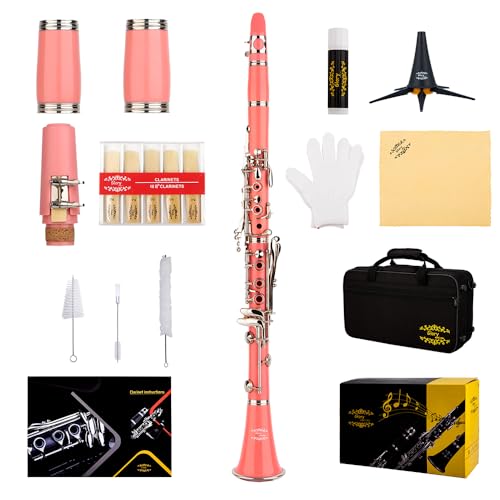 Image of Glory GLY-CLAPK Professional Ebonite Bb Clarinet with 10 Reeds, Stand, Hard Case, Cleaning Cloth, Mouthpiece Brush and Pad Brush,Pink /Silver