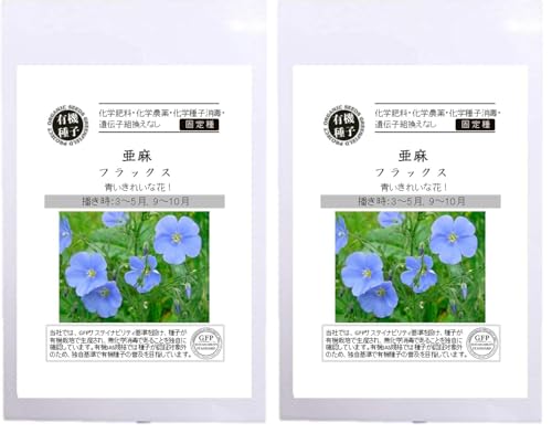 �O���[���t�B�[���h�v���W�F�N�g�y�L�@��q�E�Œ��z����/�t���b�N�X A572 (× 2)