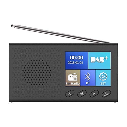 Lsmaa Digitalradio mit 2,4-Zoll-Farb-LCD-Bildschirm Wiederaufladbare Mp3-Stereo-Ausgangswiedergabe Teleskopantenne, geeignet für Angeltouren Camping