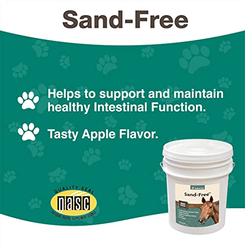 Naturvet 79901002 Sand Free Horse Powder Supplement – Supports Healthy Intestinal Function, Sand Removal From Ventral Colon – Includes Psyllium Husk thumb #3