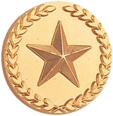 SHOP AWARDS AND GIFTS Star with Wreath Metallic Lapel Pins for Students Appreciation Reward Employees, Pack of 12, 7/8 Inch,