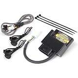 スペシャルパーツ武川(TAKEGAWA) ハイパーECU レブル250(MC49-1000001~1199999)用 05-04-0209