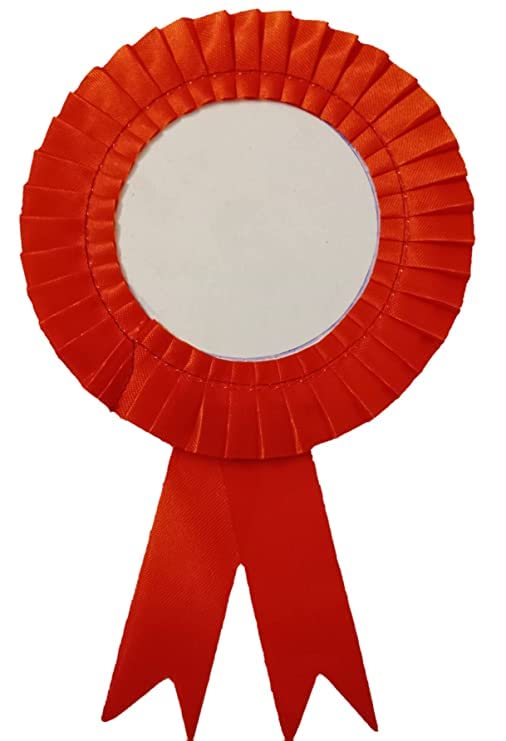 NEXGEN Trends Single Line - Satin Ribbon Badge With safety Pins For Event,Party,Conference Meeting And Multipurpose for All Occasions (Pack of 10)