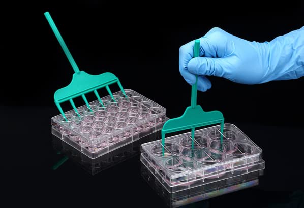 SPLScar Scratcher 24 Well Lip with 1 mm Width tip Sterile Case of 20