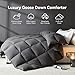L LOVSOUL Goose Feather Down Fiber Comforter Twin XL Size, 100% Organic Cotton Fabric Duvet Insert,1200TC,750+FP, Hotel Collection, All Season Grey Bedding with 8 Tabs,72oz