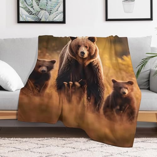 Couverture en ours 3D pour lit ou canapé plaid moelleux voyage - 3
