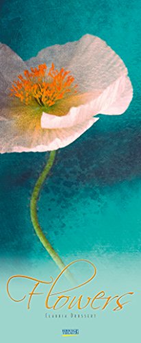 Flowers - Claudia Drossert 207419 2019: Schmaler Wandkalender. Foto-Kunstkalender mit Blumen-Blüten Flowers - Claudia Drossert 207419 2019: Schmaler Wandkalender. Foto-Kunstkalender mit Blumen-Blüten