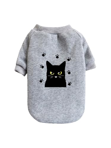  L L L ˂ ybg hbOEFA ̕ L ybgEFA h _炩 іh~   t@bV U ybgpi