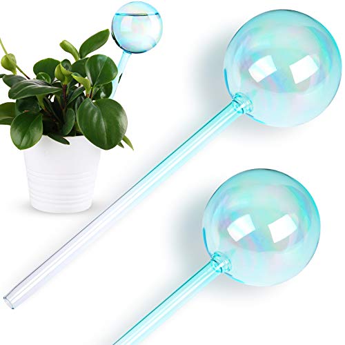 NiHome Self-Watering Globe 2-Pack 10