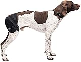 Caldera International Pet Therapy Hip Wrap with Gel, Medium, Black (PET203)