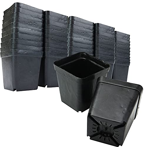 植木鉢 プランター プラスチック製 多肉植物 サボテン鉢 フラワーポット 栽培ポット (50個 約7×7×7.5cm)