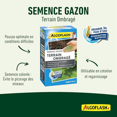 Algoflash Seme Erba Terreno Ombreggiato, 900 G, Semto1, Blu - 3