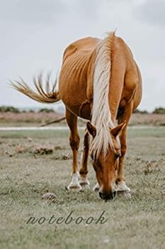 Horse Notebook