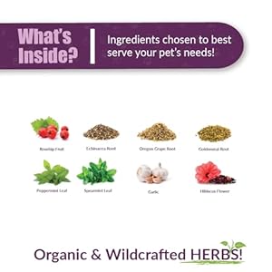 Amber NaturalZ ProTummy Stomach Comfort Herbal Blend for Dogs, Bird, Guinea Pigs, and Rabbits | Herbal Supplement for Occasional Upset Stomach | 1 Fluid Ounce Glass Bottle | Manufactured in The USA Amber NaturalZ ProTummy Stomach Comfort Herbal Blend for Dogs, Bird, Guinea Pigs, and Rabbits | Herbal Supplement for Occasional Upset Stomach | 1 Fluid Ounce Glass Bottle | Manufactured in The USA