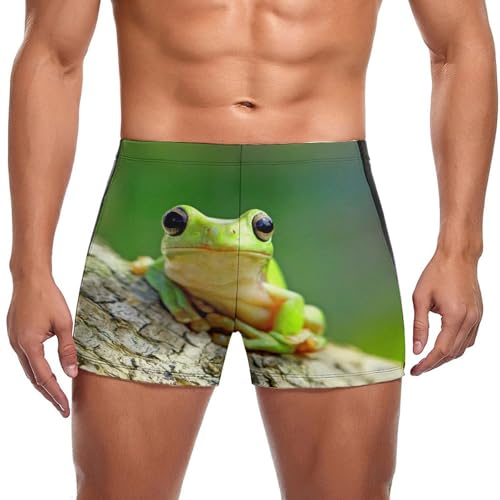 Maillot de bain grenouille verte homme - Short boxer de bain et swimming trunks
