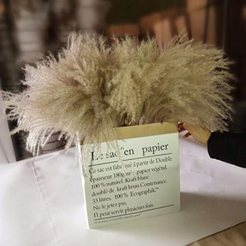 Natural Dried Flowers Bundles - Natural Dried Pampas Grass Brown Bouquet Boho Decoration for Home Decoration, Photo Props - Dried Bunny Tails Pampas for Flower Arrangements Wedding Home Decor (30Pcs)