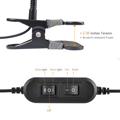 LEPOWER Clip on Light/Reading Lights/Book Light/Desk Lamp Color Changeable/Night Lights Clip on for Desk, Bed Headboard and Computers, Adapter Included (Black)