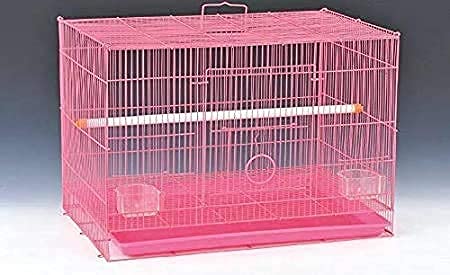 Lovely PETS Kingdom- 18" Bird cage for Budgies,Finches,Love Birds,Cocktails,Conures,Cuttlefish Bone Holder,with Cuttlefish Bone, 2 Cups, 1 Perch Stick L : 18", B : 13", H:13" - (Colors May Vary) (B098NQ1JGS) Amazon Price History, Amazon Price Tracker