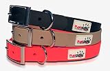  Italdog - Collar de Biothane Muy Resistente para Perros, 35 x 2 cm, Color Naranja