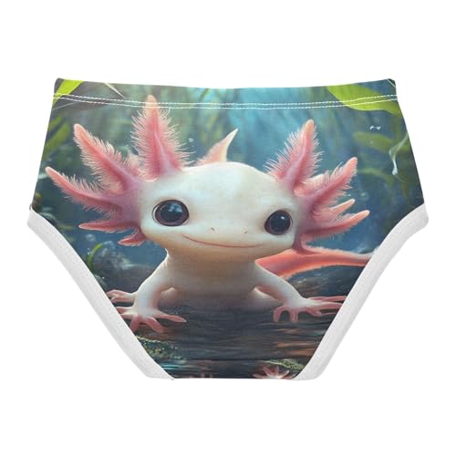 Cute Axolotl Undersea Toddler Girls's Underwear 2T 202b88462