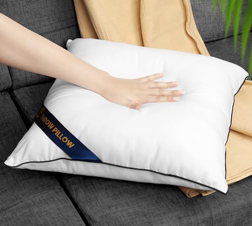 Utopia Bedding Throw Pillow Inserts (Pack of 2, White), 28 x 28 Inches Decorative Indoor Pillows for Sofa, Bed, Couch, Cushion Sham Stuffer