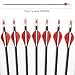 Musen Pure Carbon 30 inch Arrows Hunting Arrows for Recurve Bow,100% Carbon Archery Target Arrows with Removable Tips for Youth Hunters & Bowhunters (Pack of 12) (SP400)