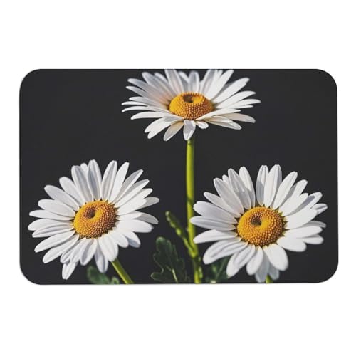 Daisy Door Mat Super Water Absorbent Non Slip Bothroom Rugs for Bathtub Sink Puppy Dog Rugs Easy to Clean Quick Dry Diatom Mud Mat for Entryway Indoor Outdoor