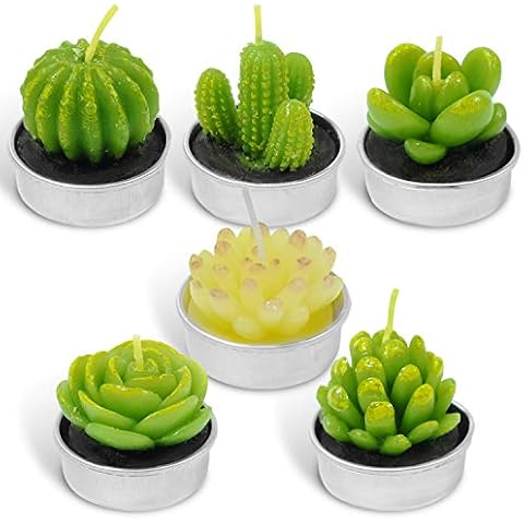 DERDUFT Cactus Candles, Succulent Tealight Candles, Succulent Plant Shape Candle, Valentine gifts for him, Party, Home Decor, 6 Pack Cover