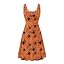 Orange Black Spider Webs