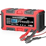 YONHAN Battery Charger 1A/5A/10A 12V/24V Adjustable Current LiFePO4 Car Battery Charger, Battery Maintainer Automatic Trickle Charger, Battery Desulfator w/Temp Compensation