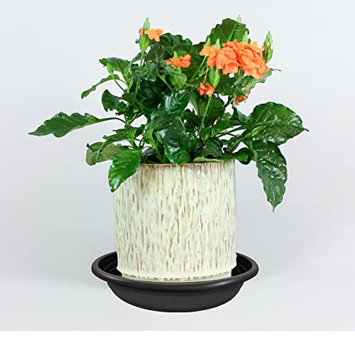 Qcyohoo 12 Pack Plant Saucer Plastic Plant Trays Flower Plant Pot Saucer Heavy Duty Sturdy Drip Trays For Indoor Outdoor Garden (6/8/10 In) #TOP4