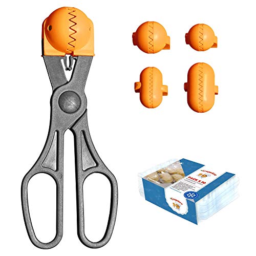 La croquetera Pack- Pelle multifonction couleur Orange  4 Moules interchangeables pour masse + Pack 20 plateaux conservation  100% espagnol?: patenté et fabriqué en Espagne