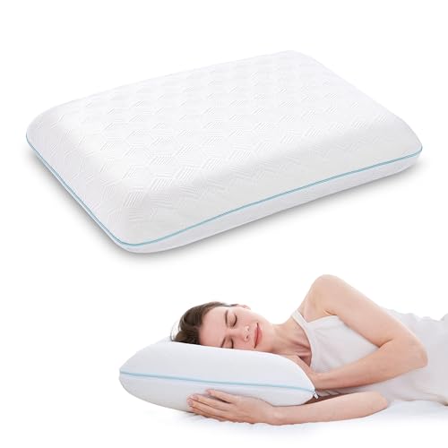 EGOHOME Memory Foam Bed Pillow, Medium Soft, 1 Pack