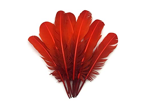 Turkey Feathers, 1/4 Lb Turkey Rounds Tom Wing Quill Feathers