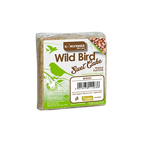 Kingfisher 300G Suet Cake with Peanuts (BFSC01)