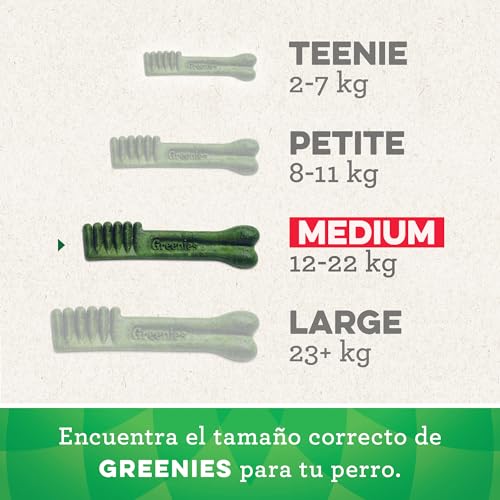 Greenies Dental Treats Original Medium – Zahnpflegesnacks für mittelgroße Hunde von 12-22 kg – Hundeleckerli zur täglichen Zahnreinigung – 1 x 340 g (Packung mit 3)