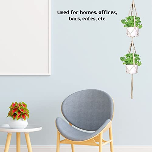 Image of ecofynd Cotton 4 Set Plant Hanger [Without Pot] | Rope Flower Pot Holder for Indoor Outdoor Balcony Garden Wall (COM04 /Pack of 4)