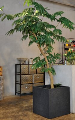 Amazon.co.jp: リガンデ キューブ 50 cm/軽量/植木 鉢 プランター