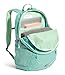 The North Face Kids' Court Jester Backpack, Wasabi/Patina Green, One Size