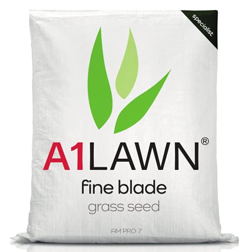 A1 Lawn AM Pro 7 Fine Blade Grass Seed, 5kg (125m2) - Rye-Free Germination Mix for Show Lawns and Fine Gardens for New Lawns & Overseeding - UK Premium Quality DEFRA Approved (AMPRO7)