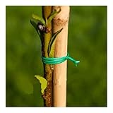 5x PFLANZENHALTER BINDER PFLANZENDRAHT in TROMMEL 30m 2mm BINDEDRAHT 720603