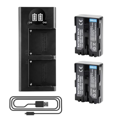 2 X NP-FM500H Ersetzt Akku und Dual Ladegerät Kompatibel mit Sony A57 A58 A65 A77 A100 A200 A200K A200W A300 A300K A300X A350 A450 A500 A580 A700 A850 A900 A900 ILCA-77M2 SLT-A99 Alpha A99 II (TYPE A)
