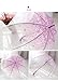 Transparent Bubble Umbrella Transparent Fashion Dome Automatic Handle Bird Cage Windproof Wedding Decoration Umbrella (Purple)