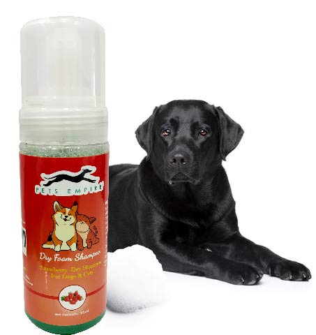 Pets Empire Dry Dog Shampoo, Waterless, No Rinse Foam Mousse - Removing Pet Odor and Bathless Cleaning of Coat -150ML (Strawberry) (B07Z532YJ6) Amazon Price History, Amazon Price Tracker
